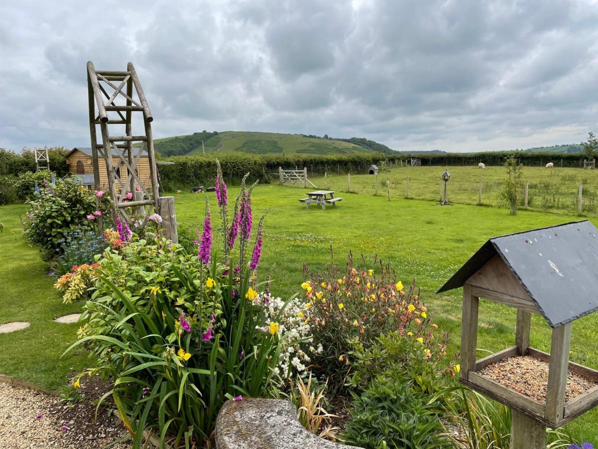 Westerley Country B & B With Exclusive Guest Lounge Buckfastleigh Exterior foto